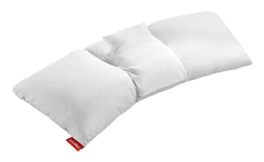 Lattoflex Lattokiss PLC