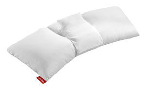 Lattoflex Lattokiss PLC