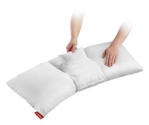Lattoflex Lattokiss PLC
