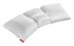 Lattoflex Lattokiss PLC