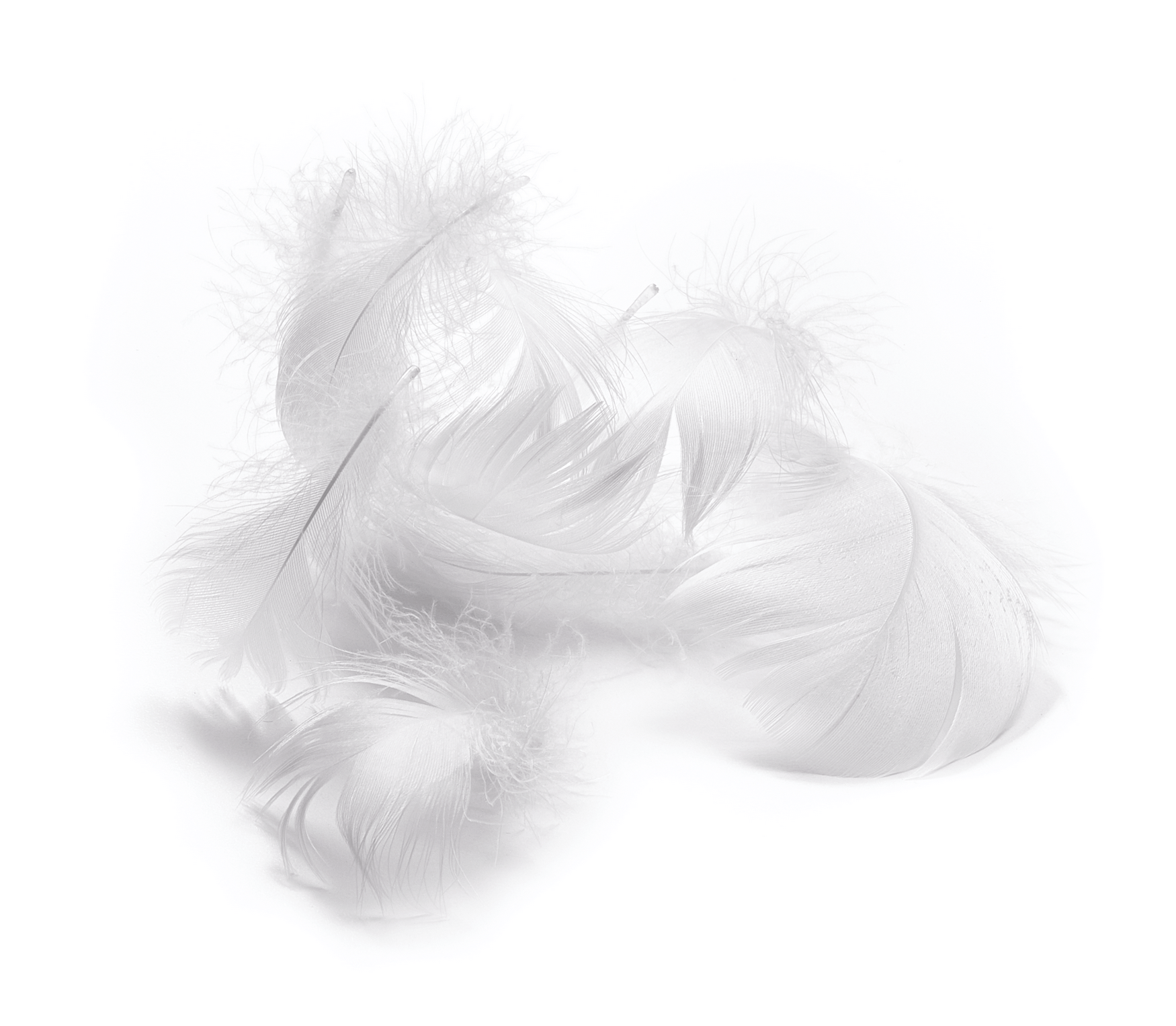 Dauny Duvet Climaactive Evolution