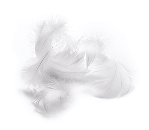Dauny Duvet Climaactive Evolution