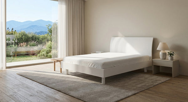 BASIC Preis-Hit Komplettangebot Genua