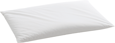 Billerbeck Organic Hirsekissen