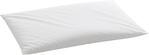Billerbeck Organic Hirsekissen