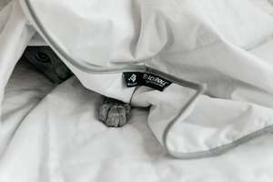 Blackroll Recovery Blanket Summer