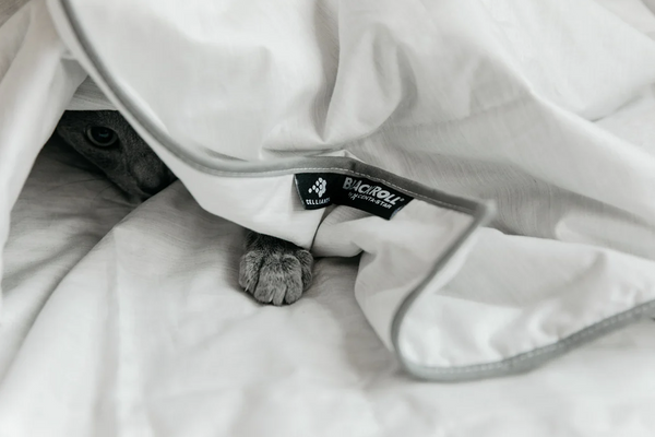 Blackroll Recovery Blanket Summer