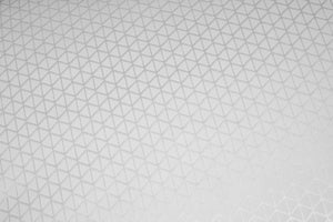 Dauny Duvet Climaactive Evolution