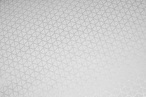 Dauny Duvet Climaactive Evolution