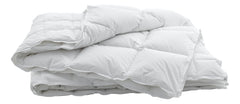 Billerbeck Duvet Swiss Dream 4-Saisons