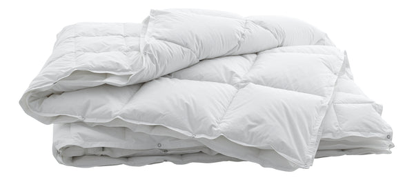 Billerbeck Duvet Swiss Dream 4-Saisons